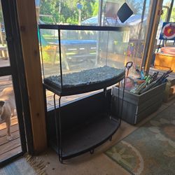 Bowfront Fishtank And Stand