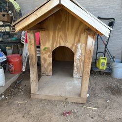 Dog House 