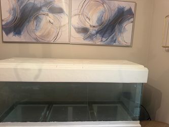 8-9 inch aquarium fish tank