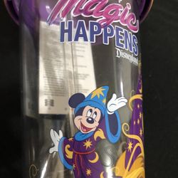 DISNEYLAND RESORT TUMBLER