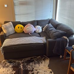 Grey Couch 