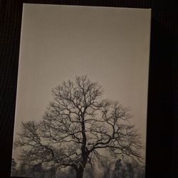 Tree Canvas Art $10