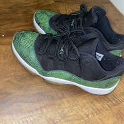 Jordan Retro 11 Snake 