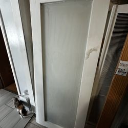 Primed Solid Glass Door