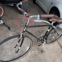 Public Cruiser Bicycle 