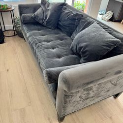 Velvet Sofa and Loveseat set