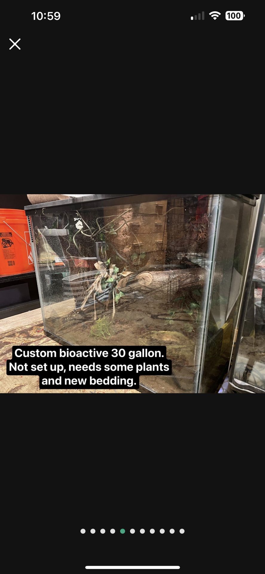 Reptile Supplies And Tanks