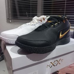 Nike Zoom Lebron Nxxt Gen Ampd