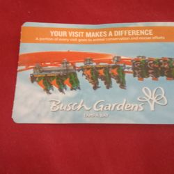 Busch Gardens Tampa Ticket