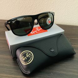 New Polarized Boyfriend 