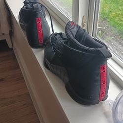 Jordan retro 15
