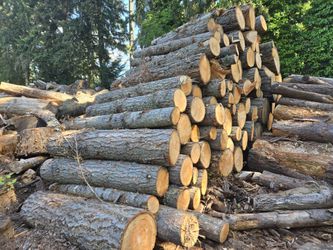 FIR FIREWOOD LOGS