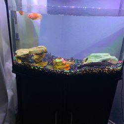 Aquarium Pet Supplies