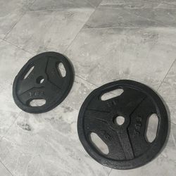 Pair Of 45lb Olympic Weights Plates Total 90lb