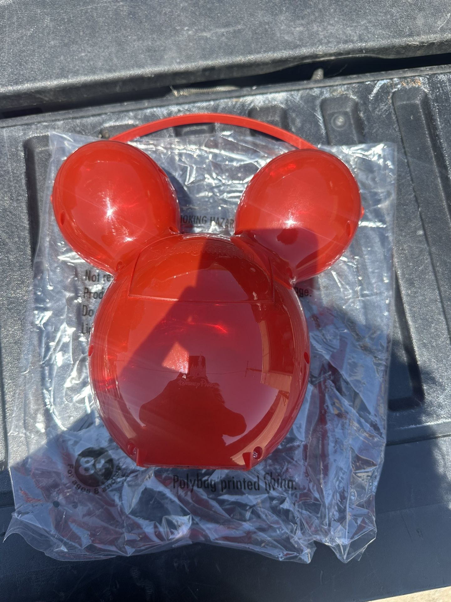 Disney Bucket