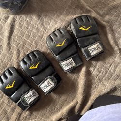 Everlast Training Gloves