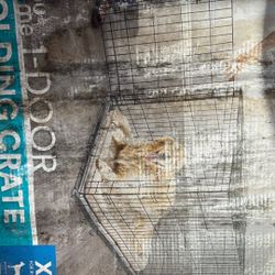Dog Crate