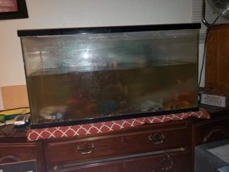 Fish tank