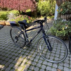 Cannondale Silk Path 700