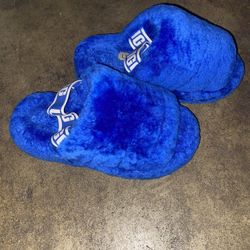 Blue Ugg Slides