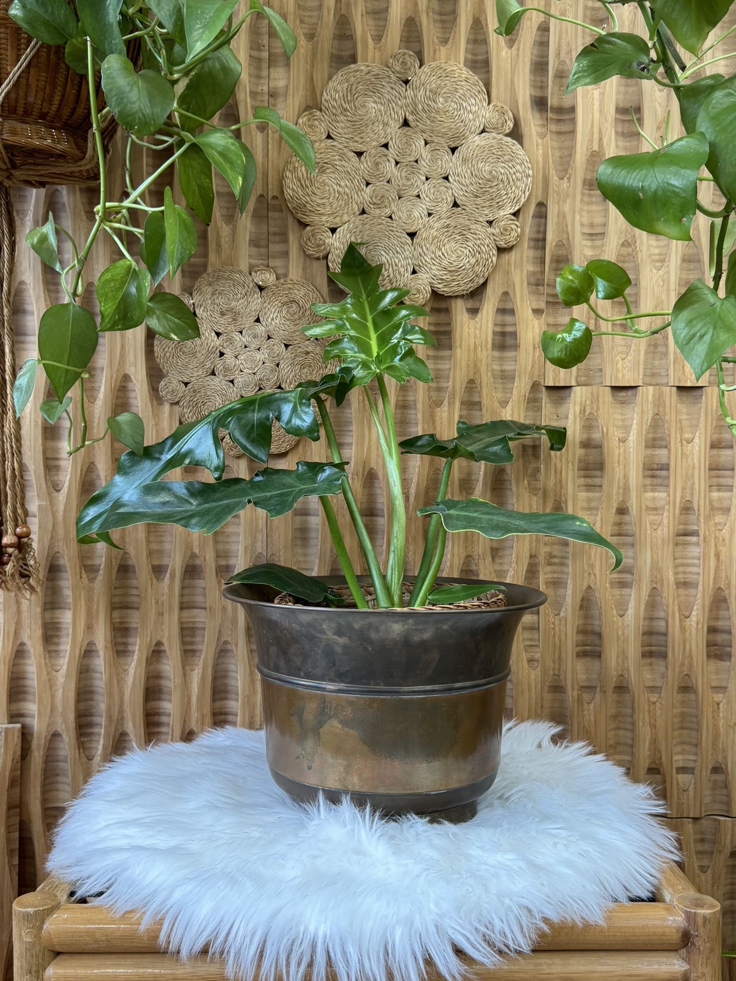 Vintage Brass Large Urn Pot Vessel Made In Hong Kong Patina Plant Decor Boho Eclectic Traditional MCM