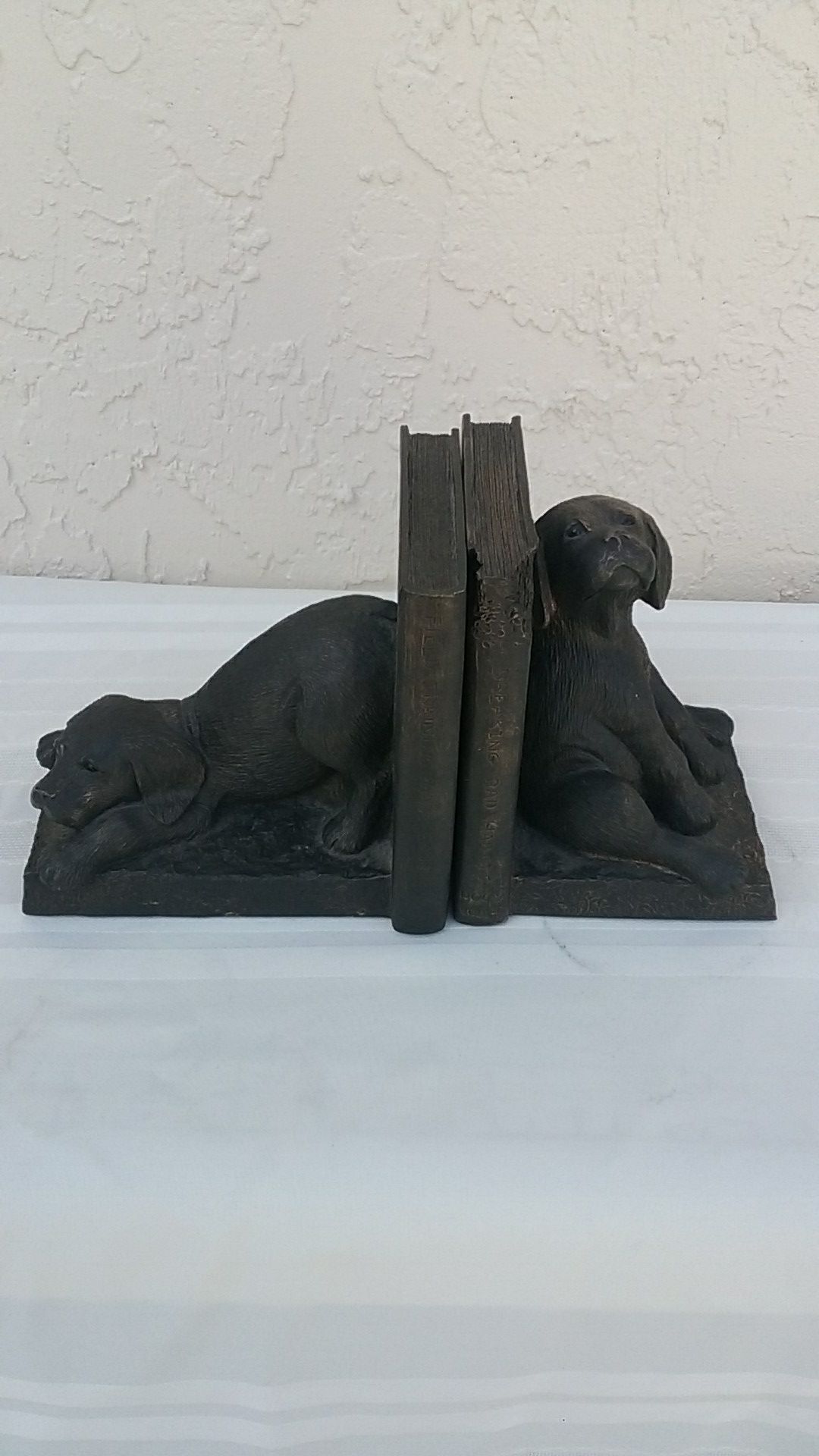 Chocolate lab bookends