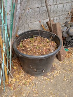 large pot  w dirt