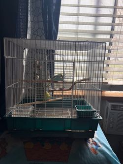 Birdcage