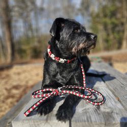 Customized Hand Braided Dog Collar And Leash
