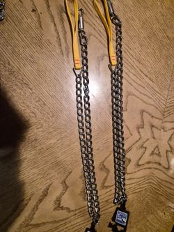 Dog Leash