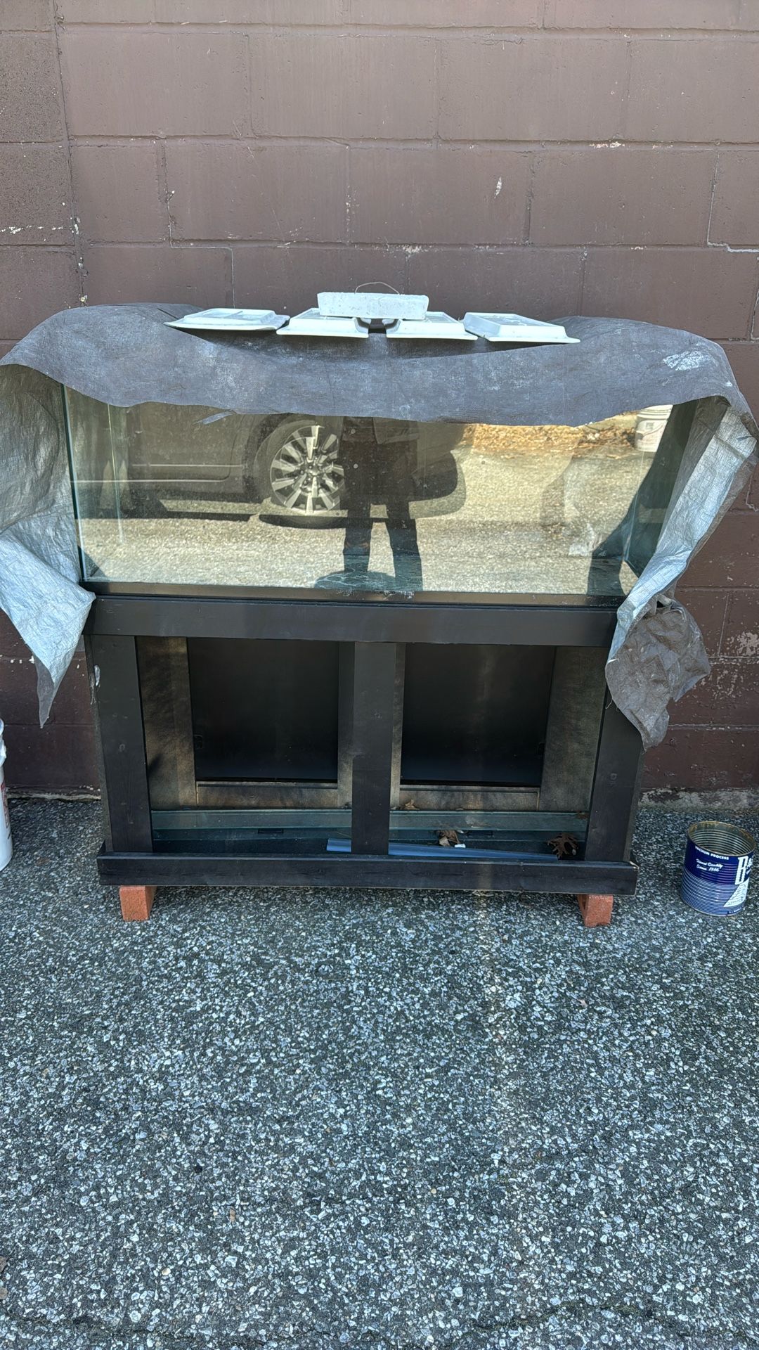 Fish Tank
