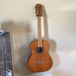 Custom Guitar 
