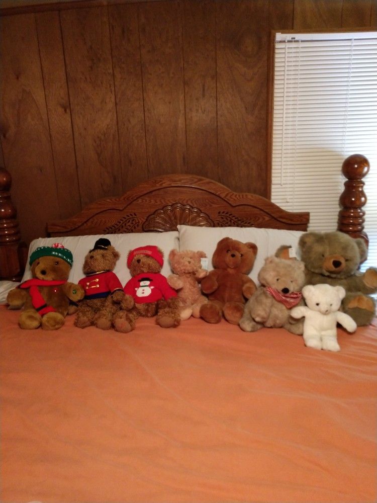 Lovable Teddy Bears Needs A Good Home