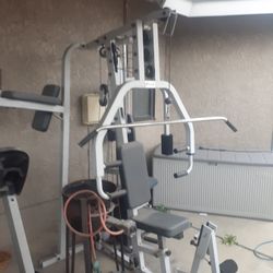 Gym Equipment 