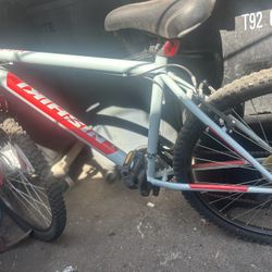 Nishiki Mountain  Bike 