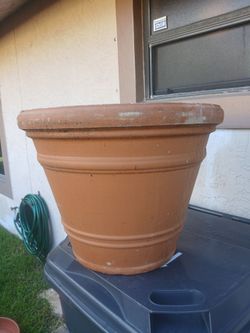 Large Fliwer Pot **Pls Don't Text After 11pm