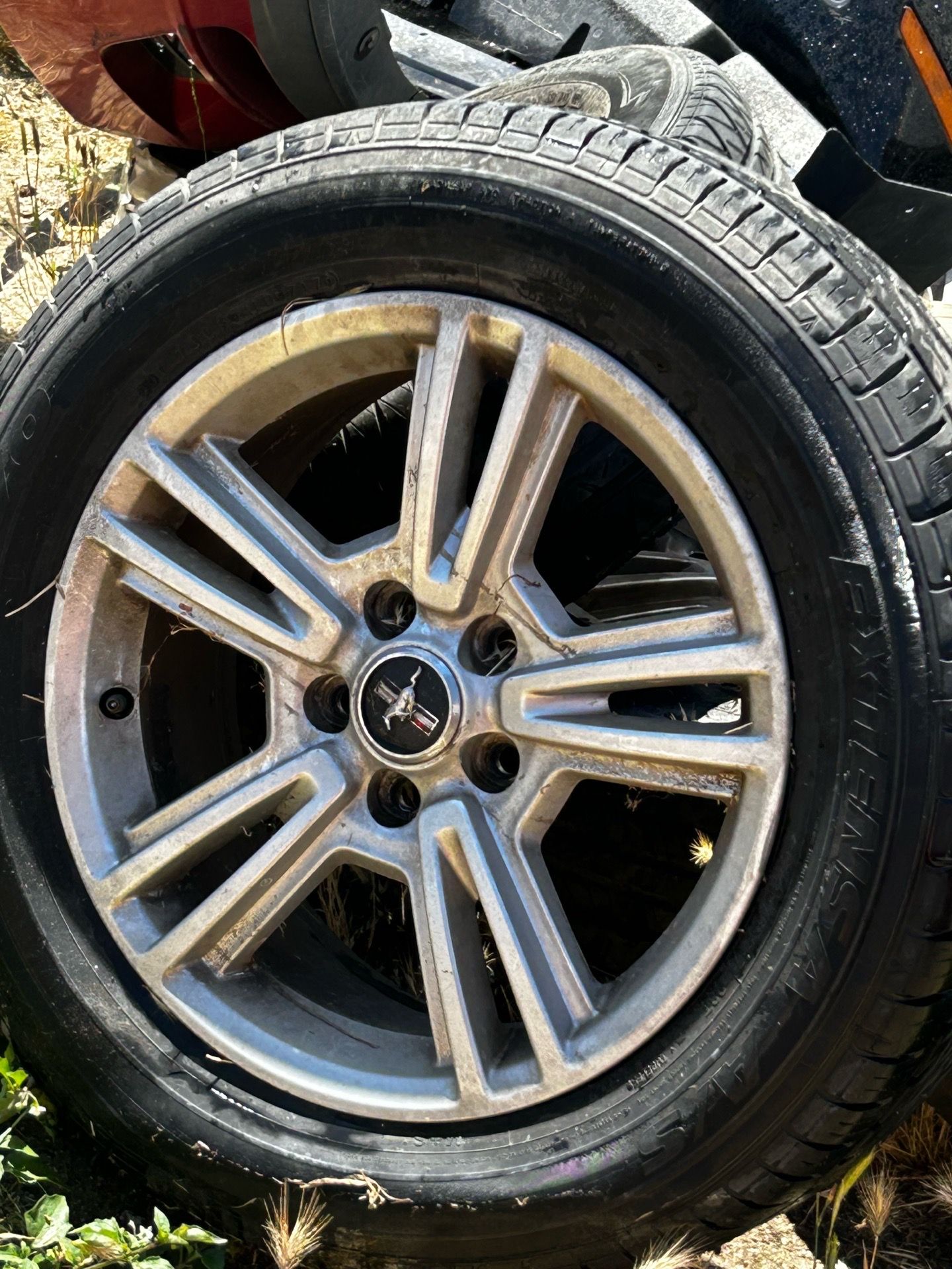 2013 Ford Mustang