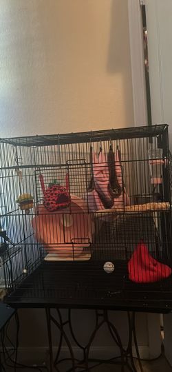 1 Sugar glider cage