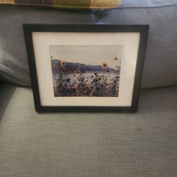 Nice Picture / Home Decor