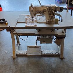 Cover Stitch Pegasus  W600 