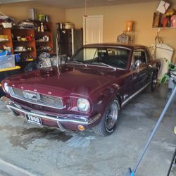 1966 mustang for sale