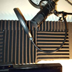 Bluecoil Studio Condenser Mic, Mic Boom Stand And Pop Filter 