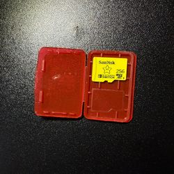Nintendo Switch Memory Game Card  