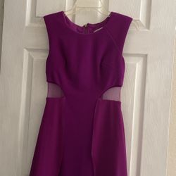 Gorgeous Purple Dress 