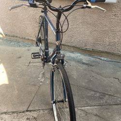 Trek Bike