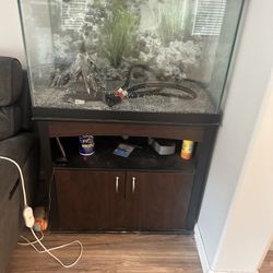 60 Or 65 Gallon Fish tank 