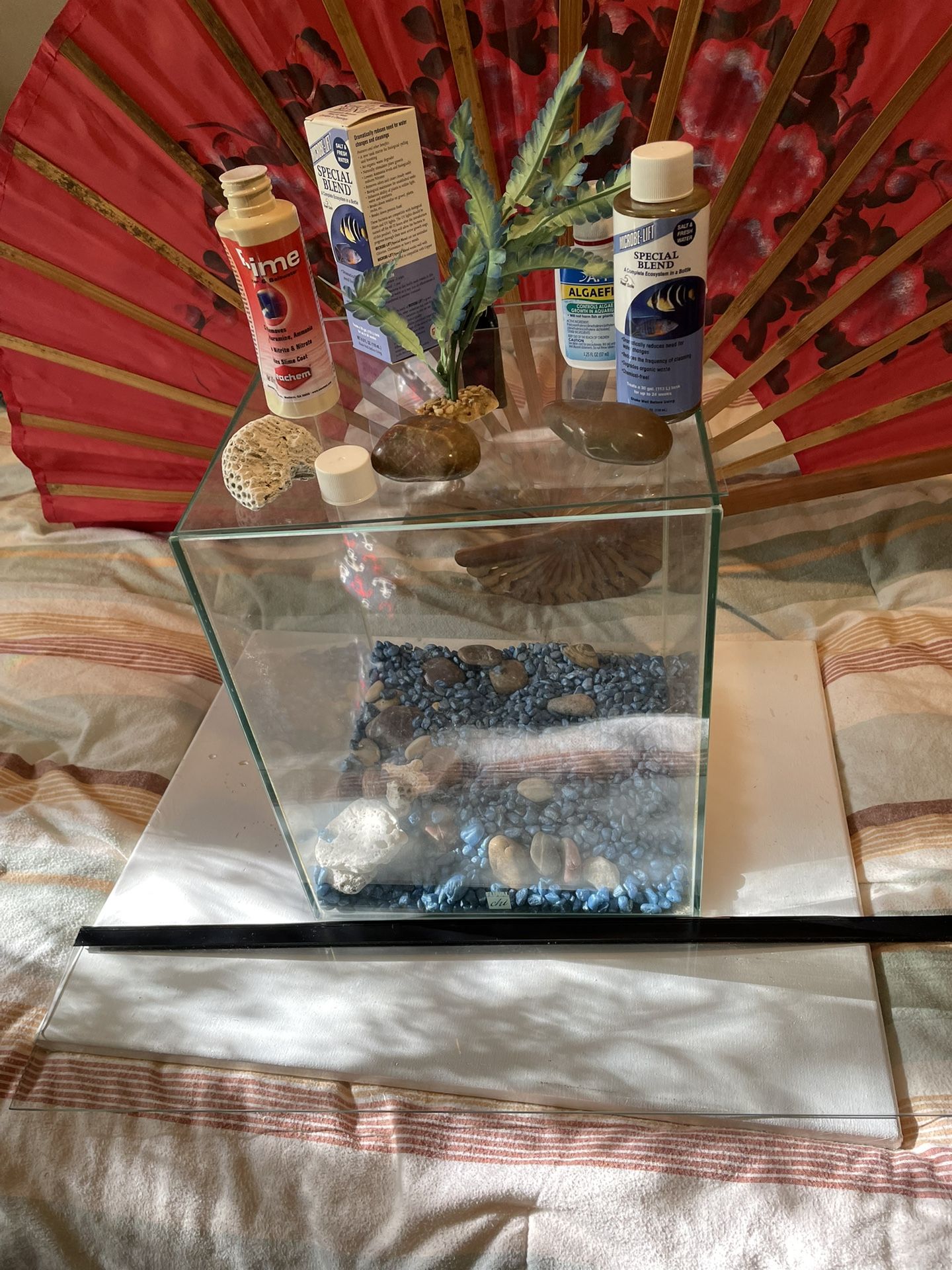  [ ] Aquariums. 12x10x10 inch With Accessory