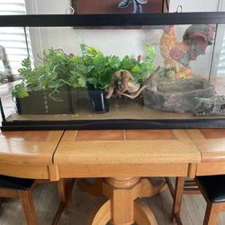 Reptile/fish Tank