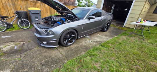 2010 gt 500