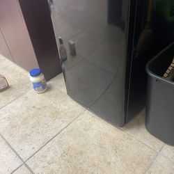 Mini Fridge 
